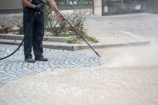 Best Animal Enclosure Cleaning  in Fort Myers Shores, FL
